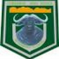 Chesamisi logo