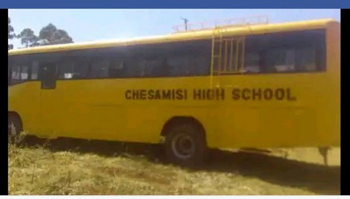 school bus,The Buffalo