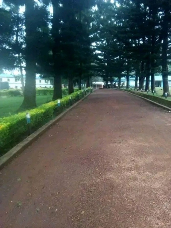 The Beautiful entry path