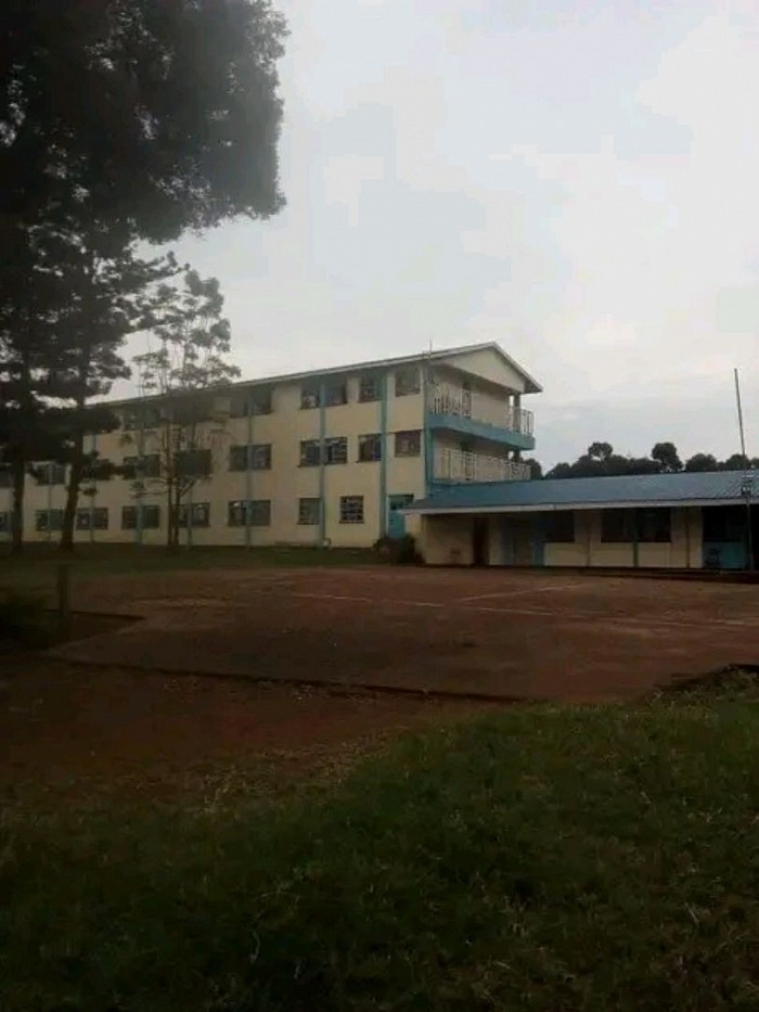 parade field view